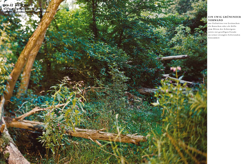 wald5MEINWALD-1
